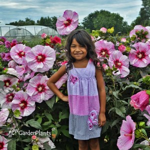 'Cherry Choco Latte'  