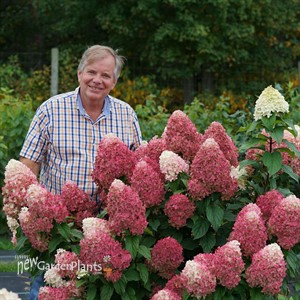 Quick Fire Fab® Panicle Hydrangea