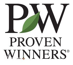 Panicum 'Totem Pole' PRAIRIE WINDS® Collection