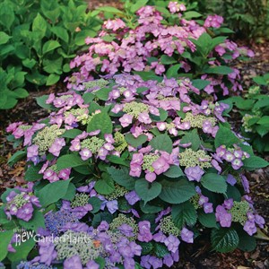 TUFF STUFF TOP FUN™ 