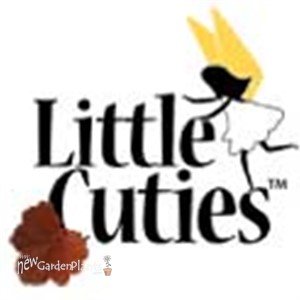 'Blondie' Little Cutie™ Series