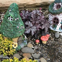 Heucherella ‘Indigo Frost’