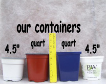 Our Containers