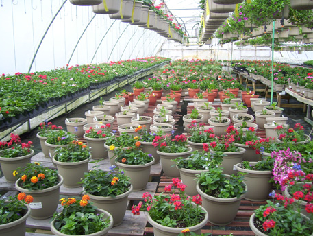 Our Jumbo Quart Pots